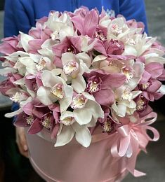 35 белых и розовых орхидей в шляпной коробке