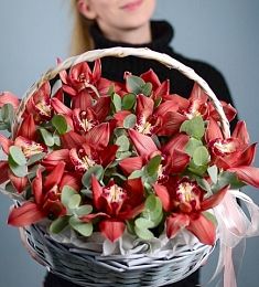 13 орхидей с эвкалиптом в корзине
