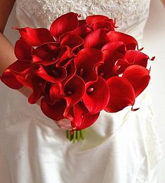 Букет невесты из 23 красных калл 