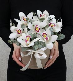 7 белых орхидей с эвкалиптом в коробке
